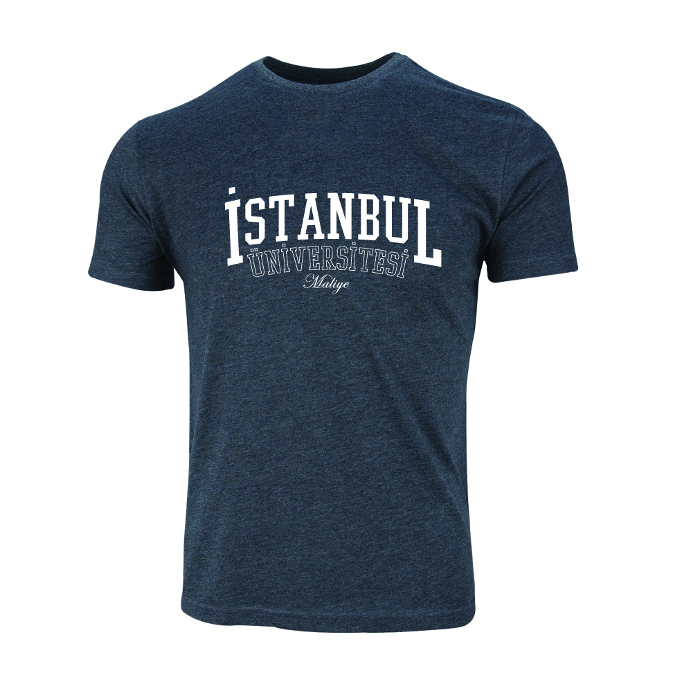Istanbul Üniversitesi Maliye Model 1
